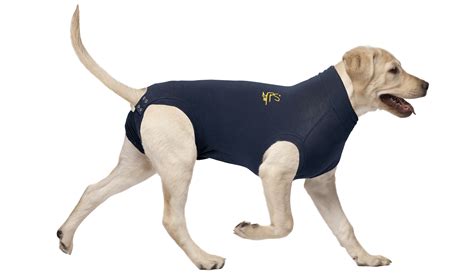 Medical Pet Shirt 